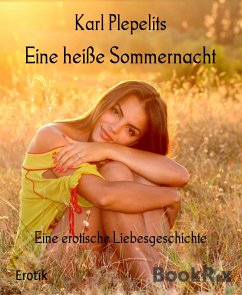 Eine heiße Sommernacht (eBook, ePUB) - Plepelits, Karl