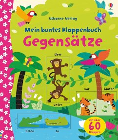 Mein buntes Klappenbuch: Gegensätze - Brooks, Felicity