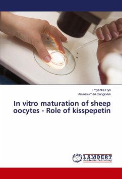 In vitro maturation of sheep oocytes - Role of kisspepetin