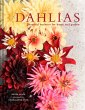 Dahlias - Bild 1