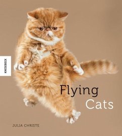 Flying Cats - Christe, Julia
