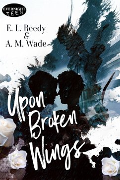 Cover Upon Broken Wings (eBook, ePUB)