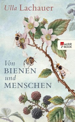 Von Bienen und Menschen (eBook, ePUB) - Lachauer, Ulla