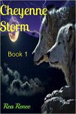 Cheyenne Storm (Cheyenne Series, #1) (eBook, ePUB)