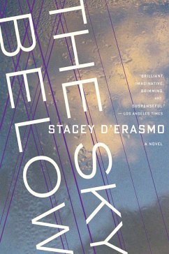 Sky Below (eBook, ePUB) - D'Erasmo, Stacey