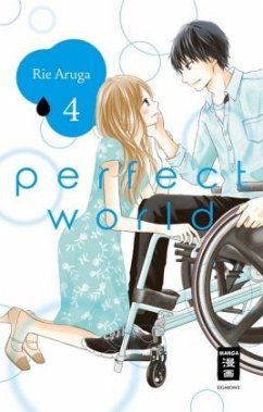 Perfect World Bd.4 - Aruga, Rie