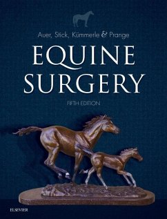 Equine Surgery - Auer, Jorg A.;Stick, John A.