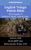 English Telugu Polish Bible - The Gospels VI - Matthew, Mark, Luke & John (eBook, ePUB)