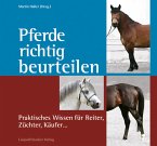 Pferde richtig beurteilen (eBook, PDF)
