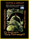 Ein Besuch auf der Burg Hohennagold (eBook, ePUB)