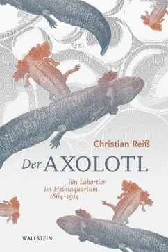 Der Axolotl - Reiß, Christian