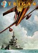 Trigan - Bild 1