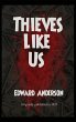 Thieves Like Us - Bild 1