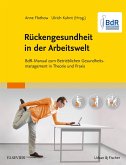 BdR-Manual Rückengesundheit in der Arbeitswelt (eBook, ePUB)