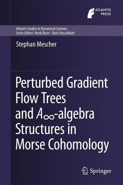 Perturbed Gradient Flow Trees and A8-algebra Structures in Morse Cohomology (eBook, PDF) - Mescher, Stephan