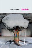 Saudade (eBook, ePUB)