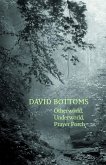 Otherworld, Underworld, Prayer Porch (eBook, ePUB)