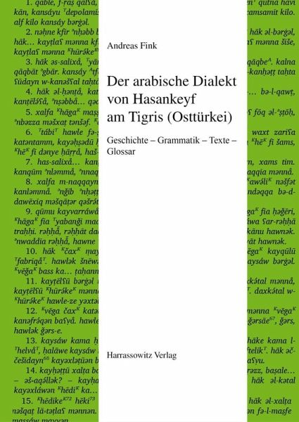 Der arabische Dialekt von Hasankeyf am Tigris (Osttürkei) (eBook, PDF) Der arabische Dialekt von Hasankeyf am Tigris (Osttürkei) (eBook, PDF)