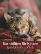Bachblüten für Katzen (eBook, ePUB) - Bild 1