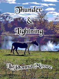 Cover Thunder & Lightning (eBook, ePUB)