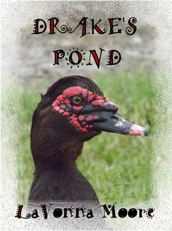 Cover Drake's Pond (eBook, ePUB)