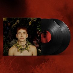 Palo Santo (2lp) - Years & Years