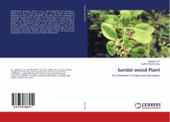 Sandal wood Plant