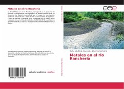 Metales en el rio Ranchería - Doria Argumedo, Carlos Julio;Gómez Sierra, Jaiker