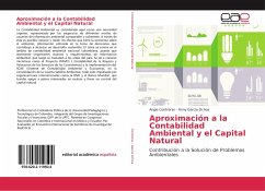 Aproximación a la Contabilidad Ambiental y el Capital Natural