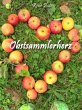 Obstsammlerherz (eBook, ePUB) - Bild 1