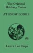 The Bobbsey Twins at Snow Lodge - Bild 1