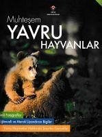 Muhtesem Yavru Hayvanlar - Fitzgerald, Bridget