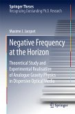 Negative Frequency at the Horizon (eBook, PDF)