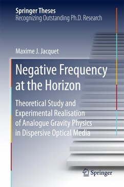 Negative Frequency at the Horizon (eBook, PDF) - Jacquet, Maxime