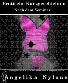 Auszug aus dem 01.Teil der Erotischen Kurzgeschichten (eBook, ePUB)