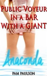 Public Voyuer in a Bar with the Giant Anaconda (eBook, ePUB) - Paulson, Pam