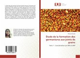 Étude de la formation des germaniures aux joints de grains