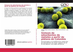 Síntesis de adsorbentes de metales a partir de plátano de Colombia