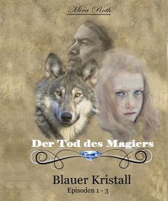 Cover Der Tod des Magiers (eBook, ePUB)