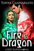 Fire to Dragon (Red Slaves, #3) (eBook, ePUB)