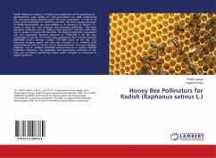 Honey Bee Pollinators for Radish (Raphanus sativus L.)