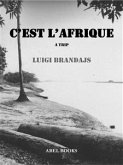 C'est l'Afrique (eBook, ePUB)