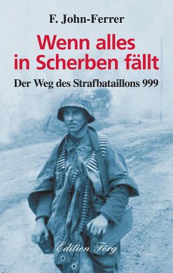 Wenn alles in Scherben fällt (eBook, ePUB) - John-Ferrer, F.