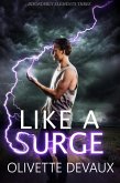 Like a Surge (Disordery Elements, #3) (eBook, ePUB)