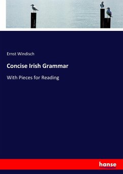 Concise Irish Grammar - Windisch, Ernst
