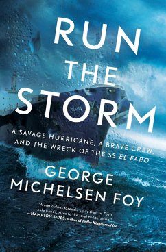 Cover Run the Storm (eBook, ePUB)