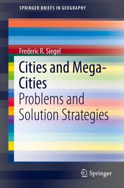 Cities and Mega-Cities - Siegel, Frederic R.