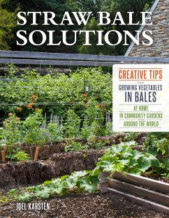 Straw Bale Solutions (eBook, ePUB) - Karsten, Joel