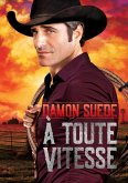 À toute vitesse (eBook, ePUB)