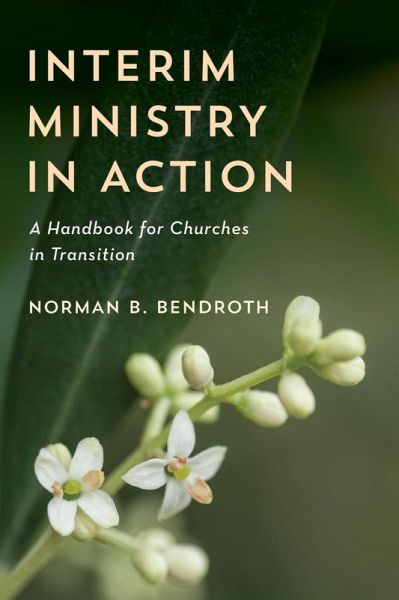 Interim Ministry in Action (eBook, ePUB)